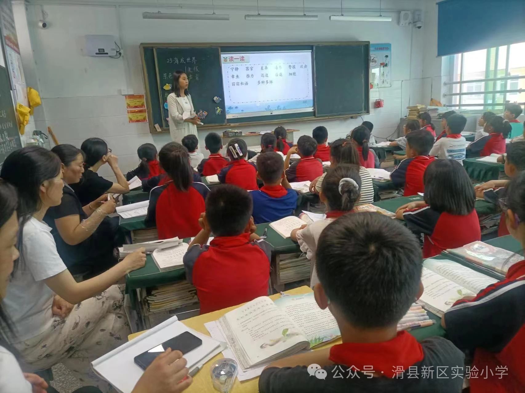 1716340030669988.jpg 2.jpg