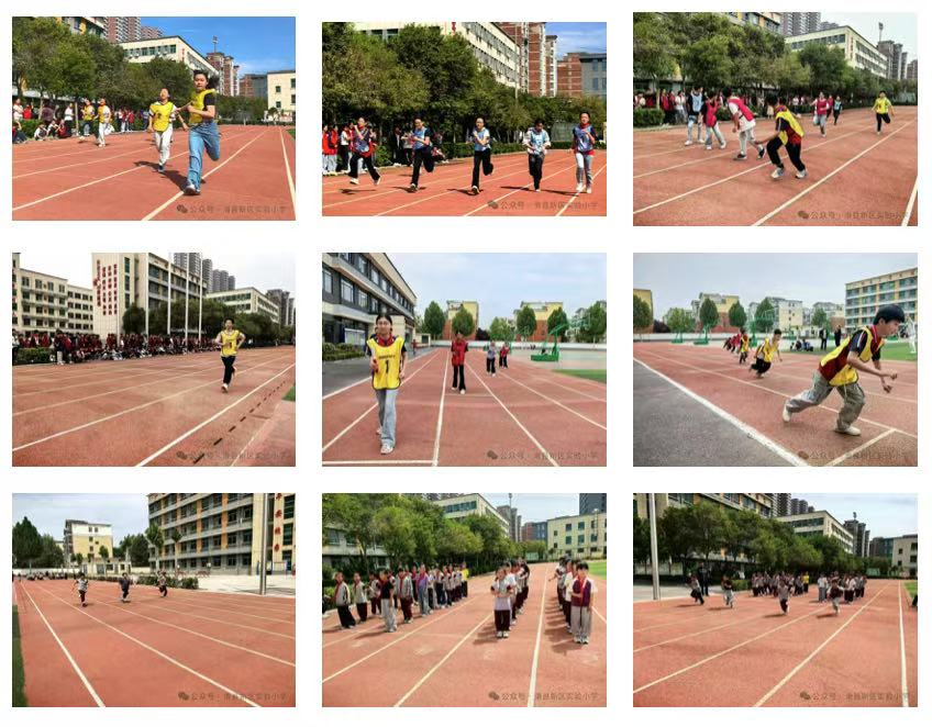 1745745156134061.jpg f3e497036c6e5090efc3dfe83017e62.jpg