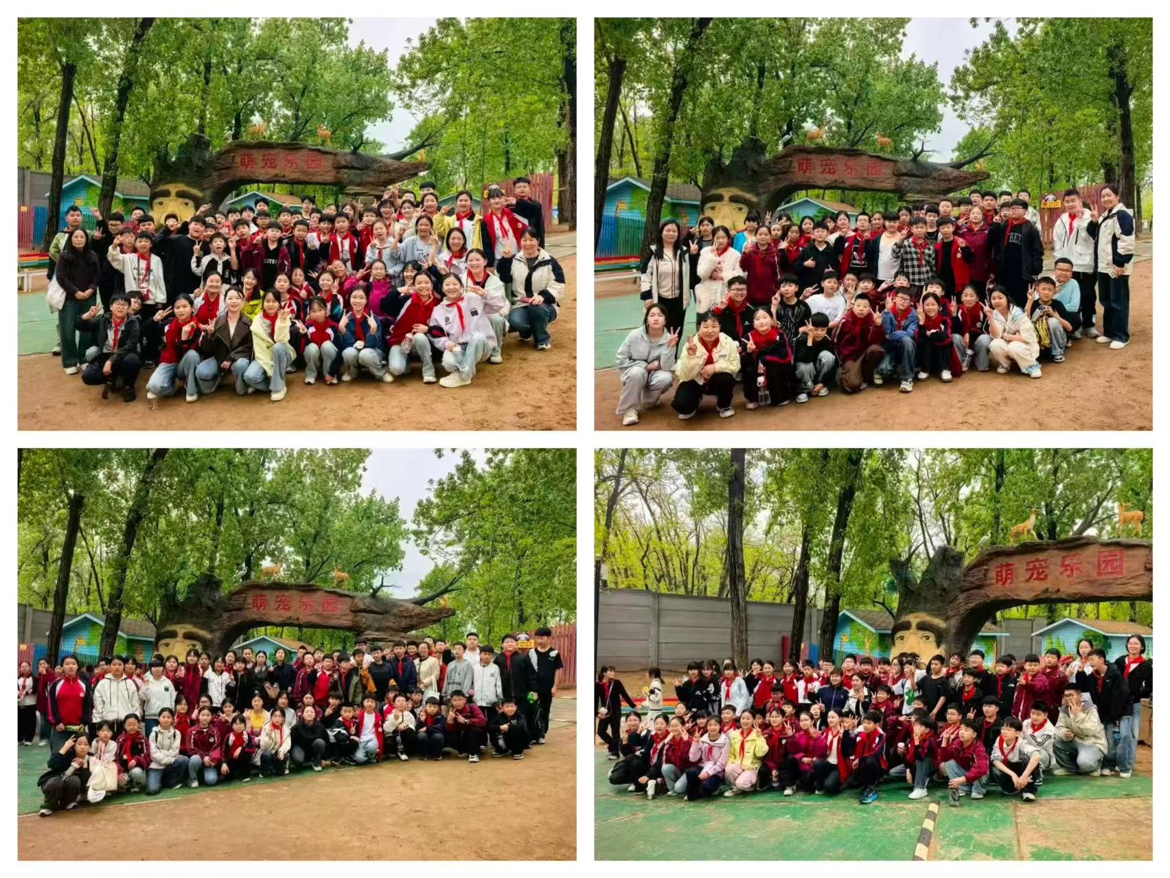 6d9e2531afd95a43ba53c495ffa10faf.jpg